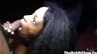 buggati bubblez turnt up safarri tiger bbc jimmyd in da club