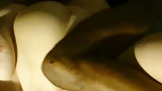 Blindfolded BBW wife with BBC 3