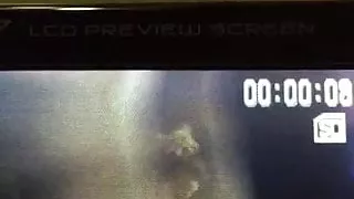 Tammy gets ass fucked