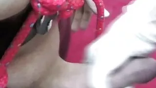 Lady Darla - Auf dem Altar der Lust