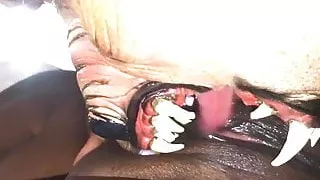 Little Red Ridding Hood