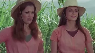 Celebs Caught Getting Into Fights and Stripping Naked!