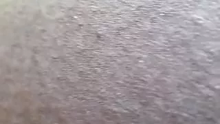 10 dollar action part 3