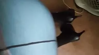 Getting some head from a big girl in pantyhose tights