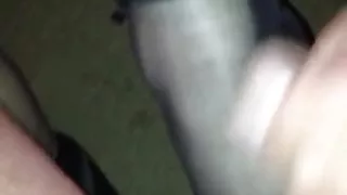 Cum on her sexy nylon feet