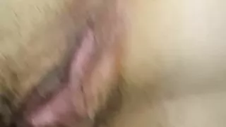 Hairy lick