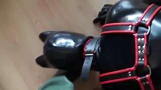 Rubber Puppy Play In Rubber Waders