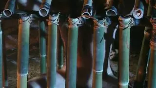 Sex Prisoners Of War