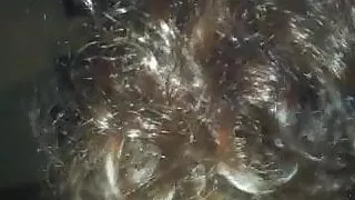 POV Blowjob from GWEN