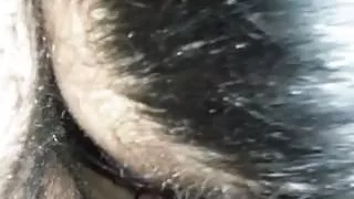 Sucking my dick - bruneta imi suge pula