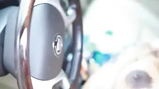 outside masturbation