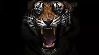 PornoStarSMS - Lucy Heart