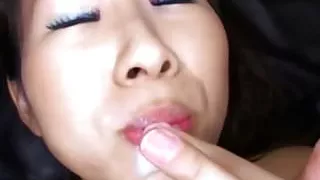 japonese cute swallow spern