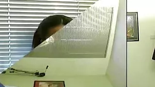 Ebony amateur filmed at real porn casting audition