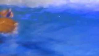 Bharat Natyam The Cleansing