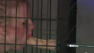 Very Scary BDSM Fucking Machines - Robotic Gangbang