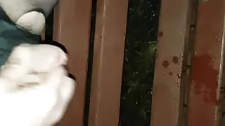 Morgen Pissen Wichsen