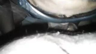 my hot milf's sensational blowjob