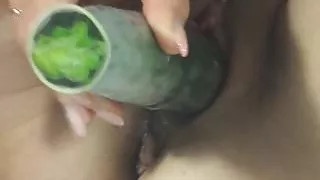 zucchini