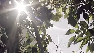 VIXEN Riley Reid Shares Her Boyfriend With Carter Cruise