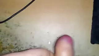 Tribute am Susannngirl