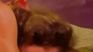 The Resurrection Of Eve (1973)