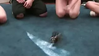 Sorority students pounded in college dorm