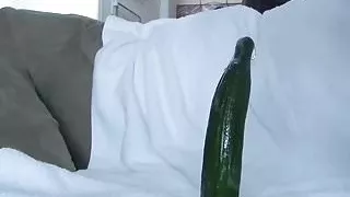 Cucumber lover