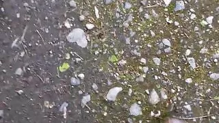 Rehearsing for flashing in the woods