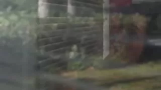 Smalltitted sappho pussylicked by girlfriend