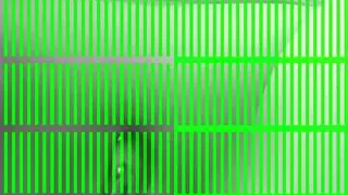 Peeing in the backyard