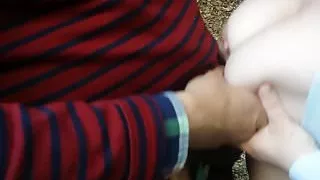 suite dans les bois 2017-1