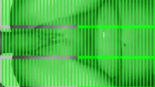 Kleine schlampe fetter Schwanz