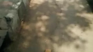 Tight leggings ladies