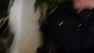 White MILF police officers