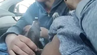 Hoodhead white hoes 8