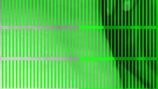 Vacation in Jamaica 2017 3