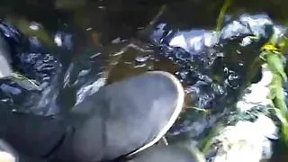 Wet Jumes boots river