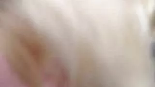 Hooker giving blowjob