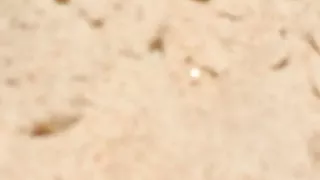 ma belle voisine de plage