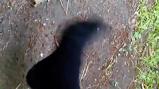 Lotioned Feet in Socks Size 7