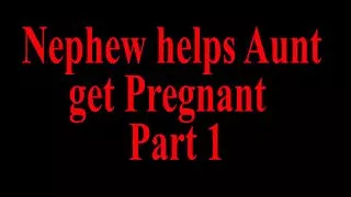 Nephew gets Aunt Pregnant POV Part 1