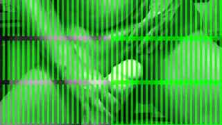 Fat belly with fat dildo