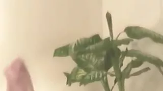 Rebecca Love in Housewives from Another World.mp4