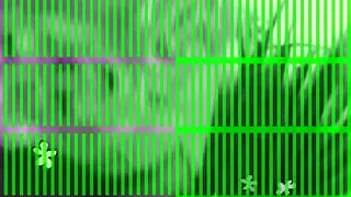 Ri Ri Brooklyn THOT playing wit filters