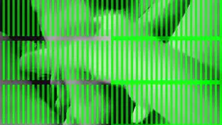 I would love to be in the porn video