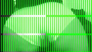 Shake that ass babyv