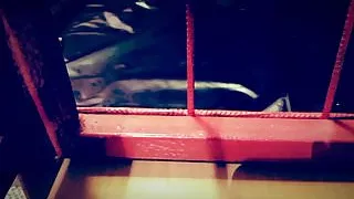 Mistress Emma and slave