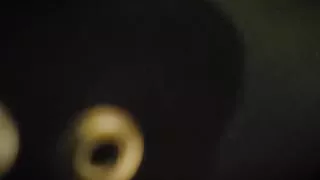 Mistress Emma & slave with collar