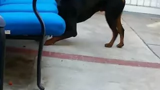 Masturbation, Muschi, Strippen